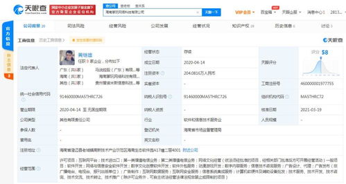 軟件銷售 策略與實(shí)踐指南